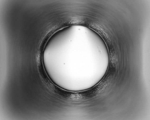 X0000093530591200711021312