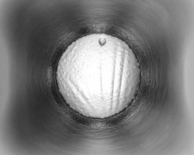 X0000093530594200711021312