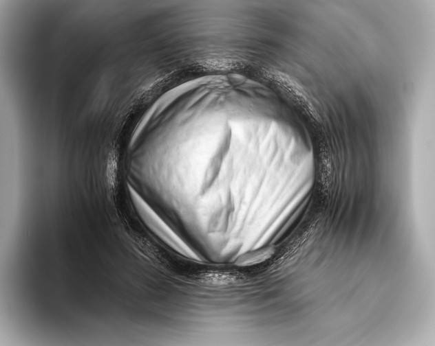 X0000093530596200711021312