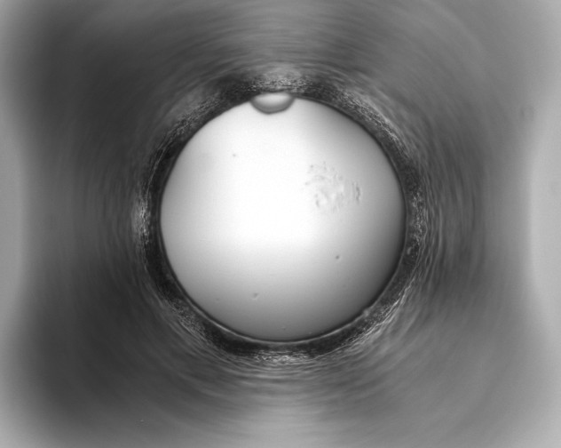 X0000093530597200711021312