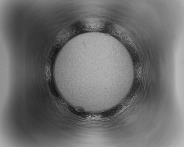 X0000093530599200711021312