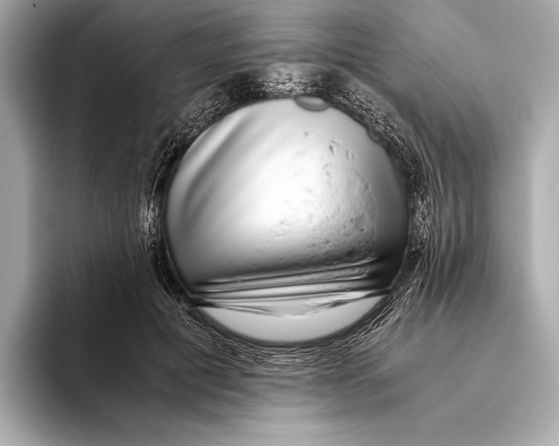 X0000093530601200711021312