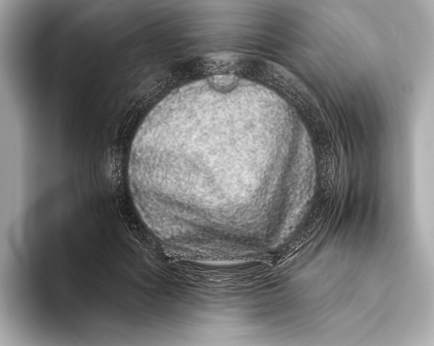 X0000093530602200711021312