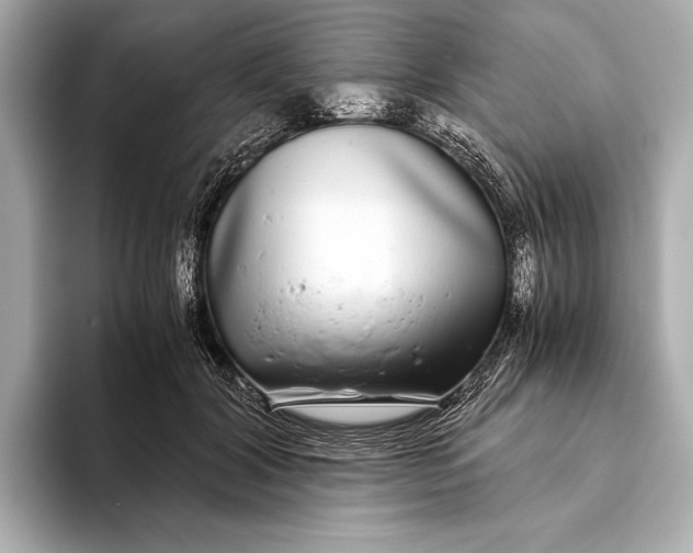 X0000093530604200711021312