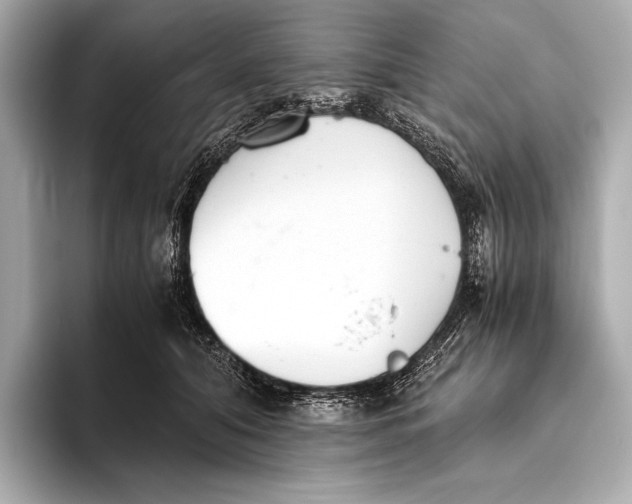 X0000093530608200711021312