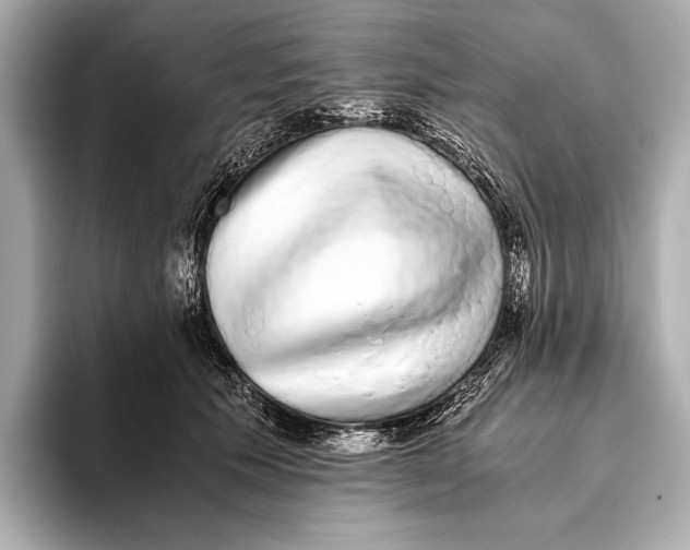 X0000093530609200711021312