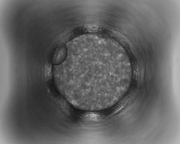 X0000093530610200711021312