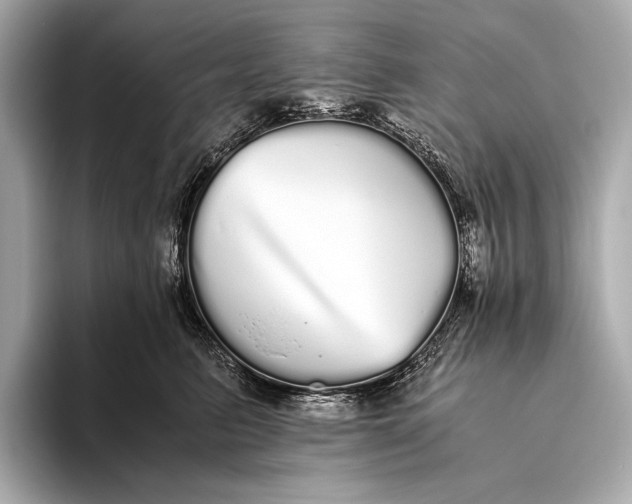 X0000093530615200711021312