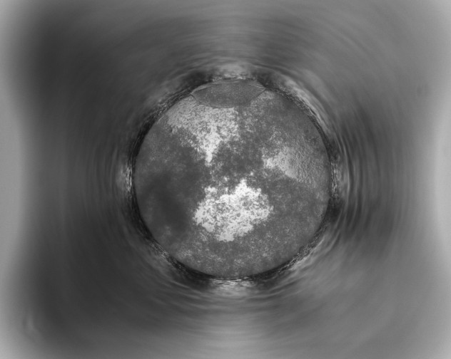 X0000093530621200711021311