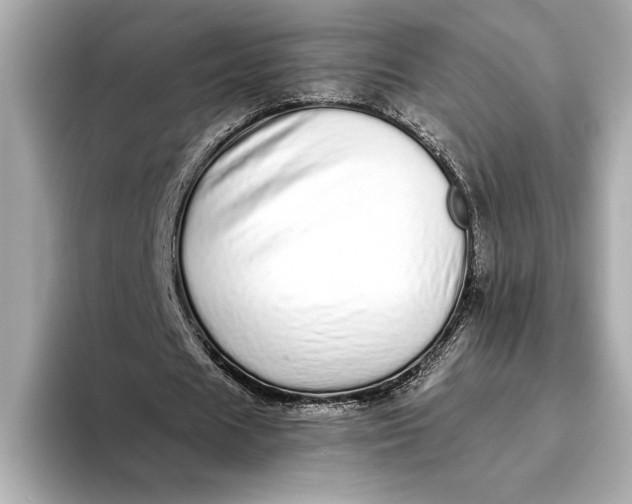 X0000093530625200711021311