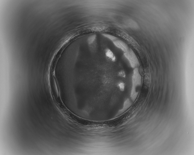 X0000093530626200711021311