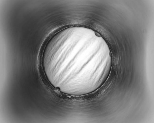 X0000093530628200711021311