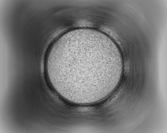 X0000093530629200711021311