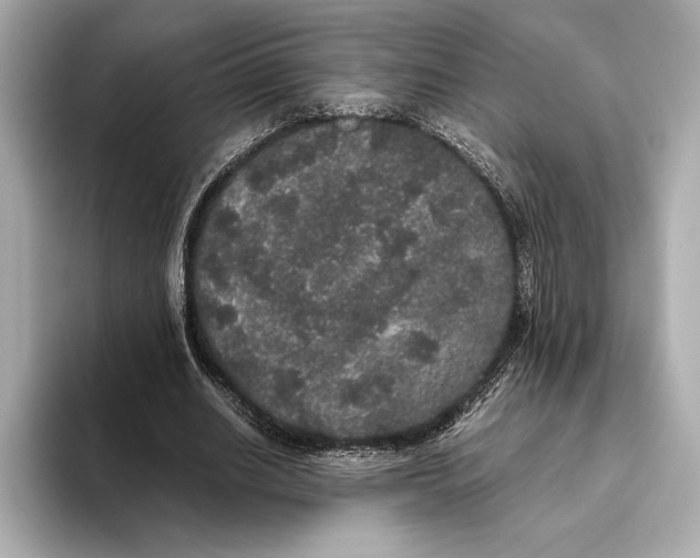 X0000093530630200711021311