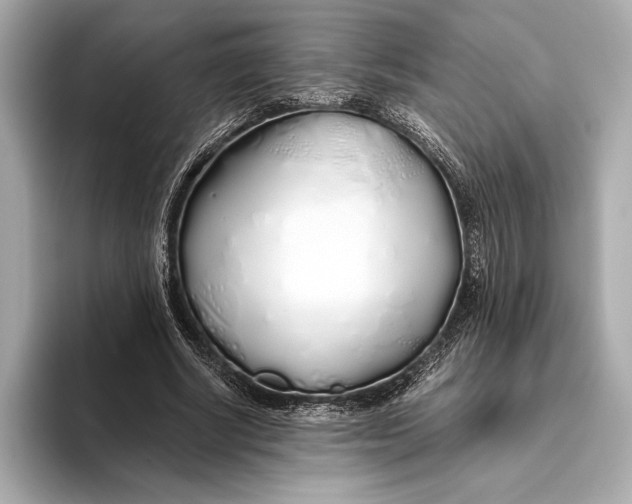 X0000093530634200711021311