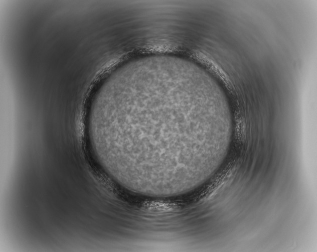 X0000093530635200711021311