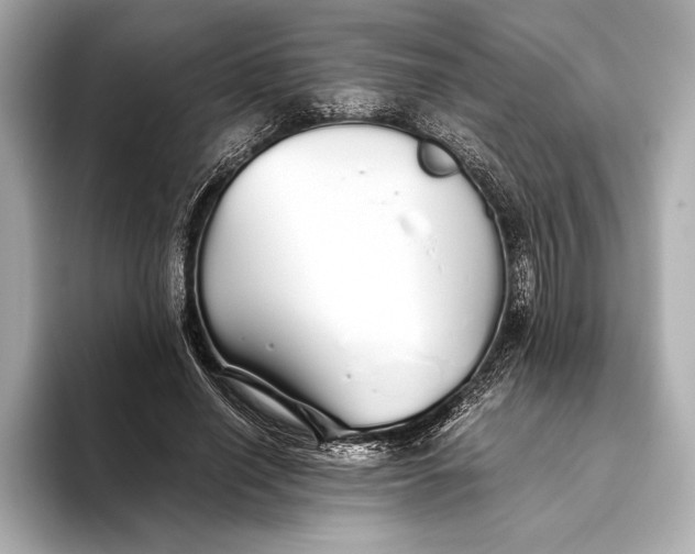 X0000093530638200711021311