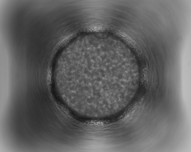 X0000093530640200711021311