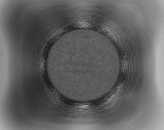 X0000093530643200711021311