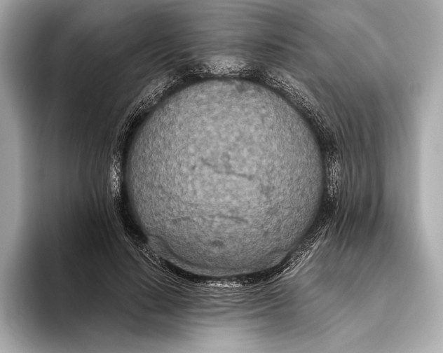 X0000093530644200711021311