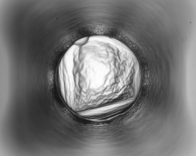 X0000093530646200711021311