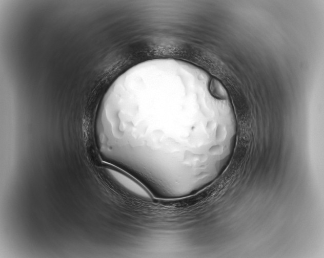 X0000093530648200711021311