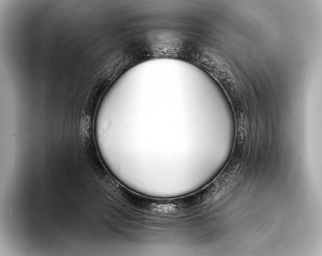 X0000093530649200711021311