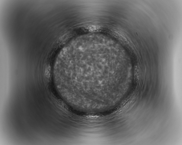 X0000093530650200711021311