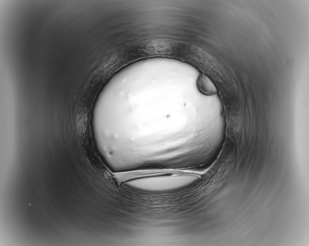 X0000093530652200711021311