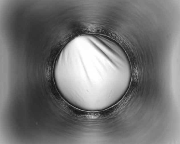 X0000093530656200711021311