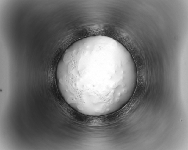 X0000093530658200711021311