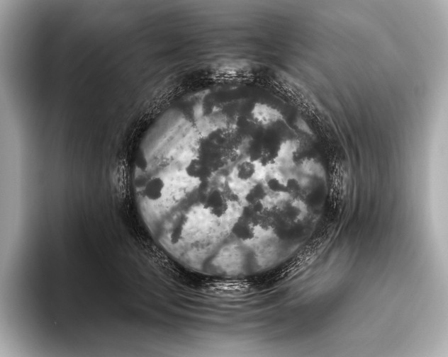 X0000093530659200711021311