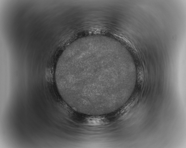 X0000093530661200711021311