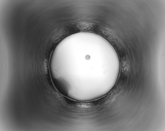 X0000093530664200711021311