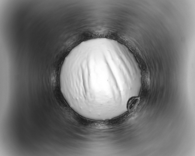 X0000093530668200711021311