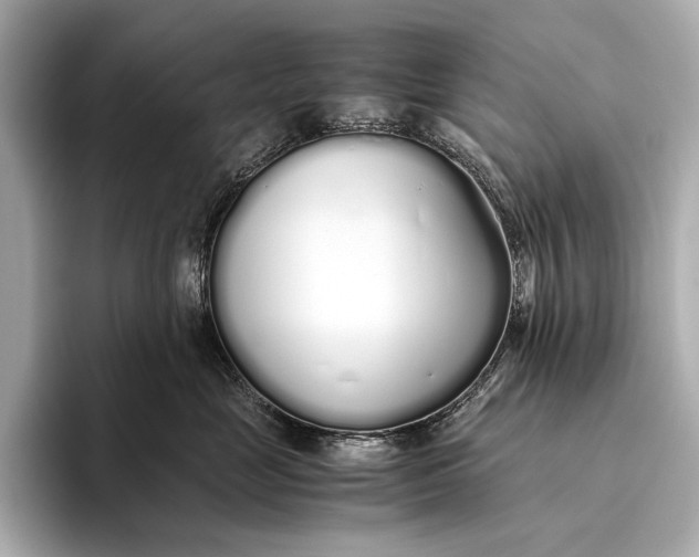 X0000093530669200711021311