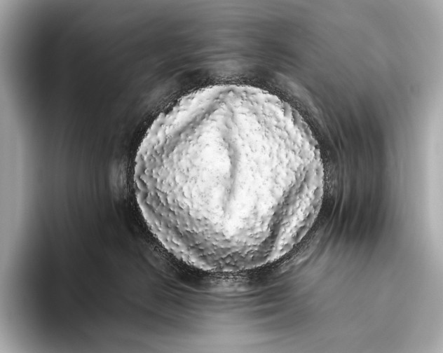 X0000093530670200711021311