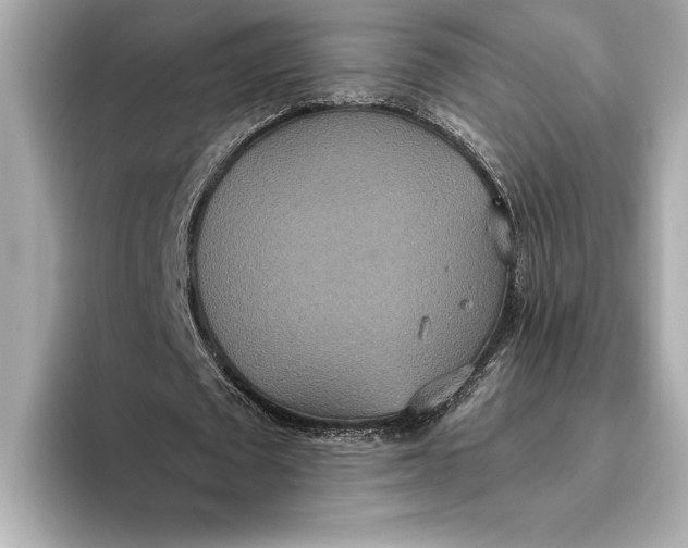 X0000093530673200711021311