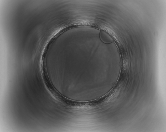 X0000093530674200711021311