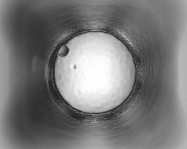 X0000093530679200711021311