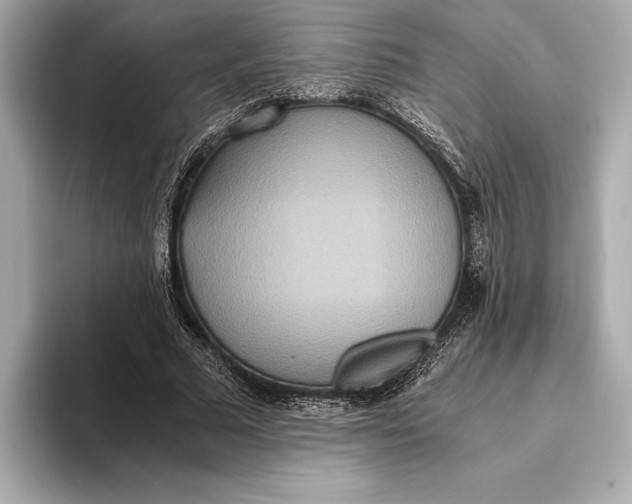 X0000093530681200711021311