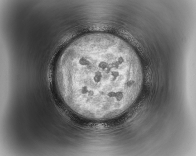 X0000093530683200711021311