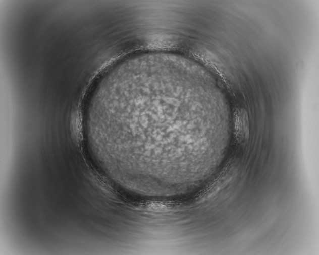 X0000093530684200711021311