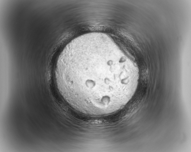 X0000093530687200711021311