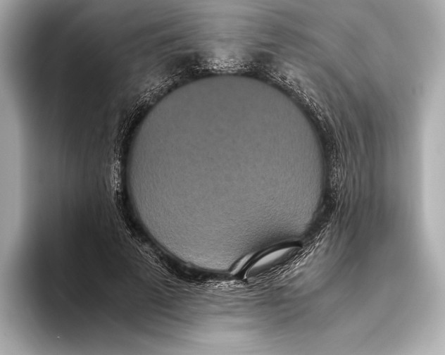 X0000093530689200711021311