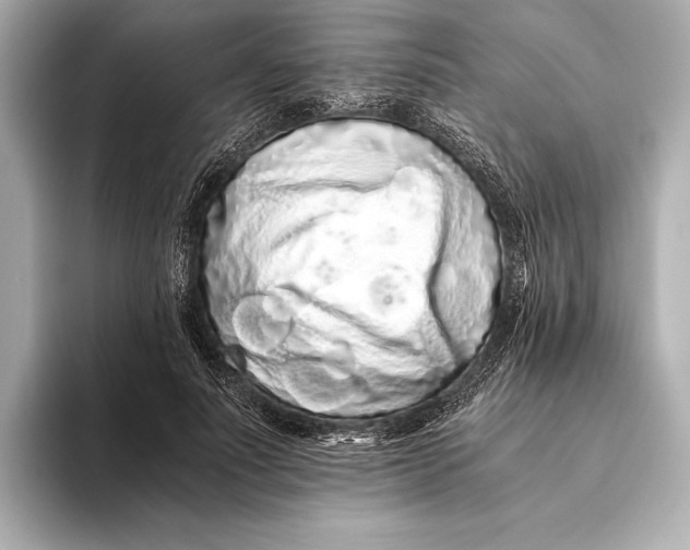 X0000093530691200711021311