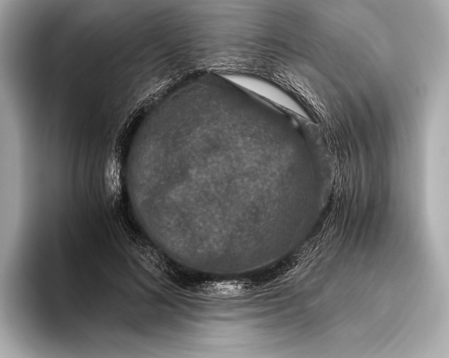 X0000093530692200711021311