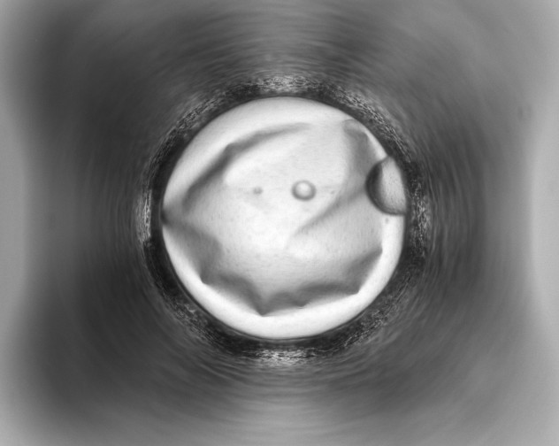 X0000093530694200711021311