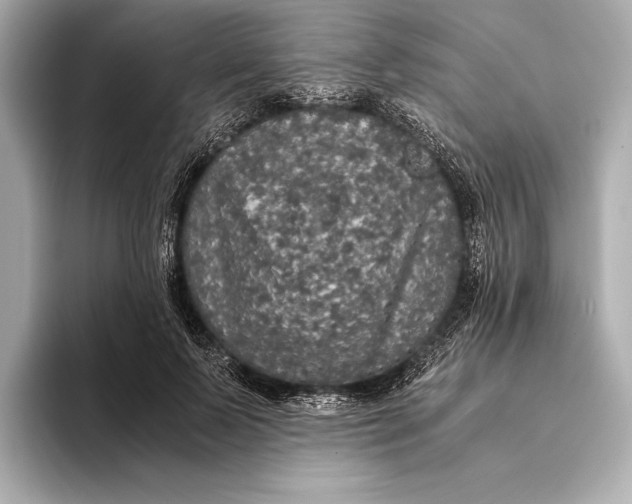 X0000093530695200711021311