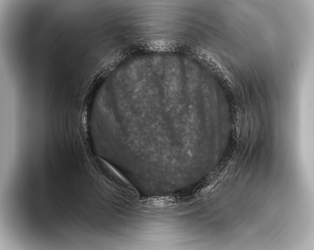 X0000093530696200711021311